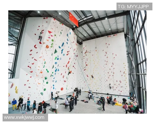 北京攀岩队状态分析与未来发展展望探讨攀岩运动的挑战与机遇