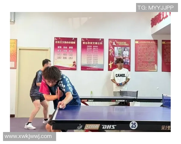 乒乓球的魅力与坚持：深入杭州乒乓球队的耐力训练与精神探索