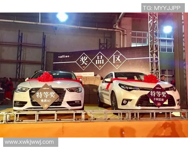 成都排球队勇闯洲际杯的辉煌历程与未来展望