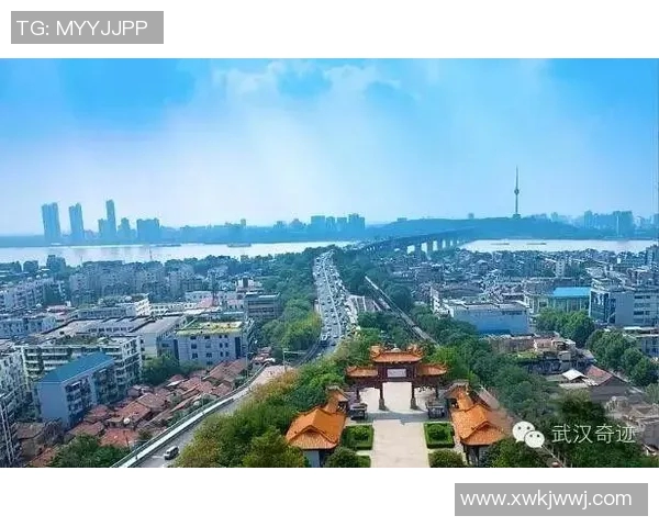 杭州乒乓球队在阵地战中的表现分析与未来发展方向探讨