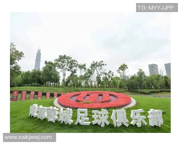 成都足球队配合排名创新高展现团队实力与战术水平提升