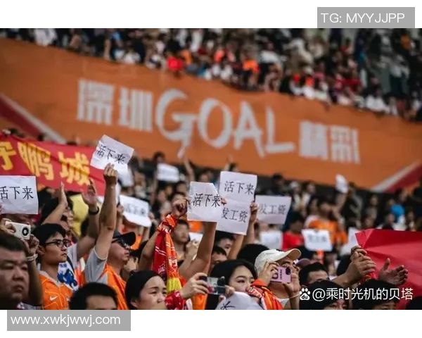 深圳足球队实力剖析:从青训到职业联赛的全面发展与挑战 深圳足球队实力剖析:从青训到职业联赛的全面发展与挑战