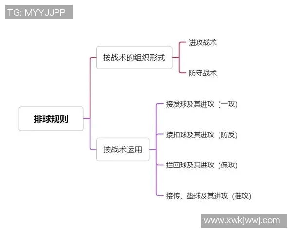 上海排球队的整体压制分析与战术解读探讨 上海排球队的整体压制分析与战术解读探讨