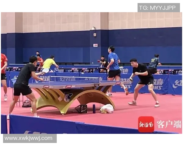 上海羽毛球队的节奏革新探索与实践:重塑竞技风格与团队协作新模式 上海羽毛球队的节奏革新探索与实践:重塑竞技风格与团队协作新模式